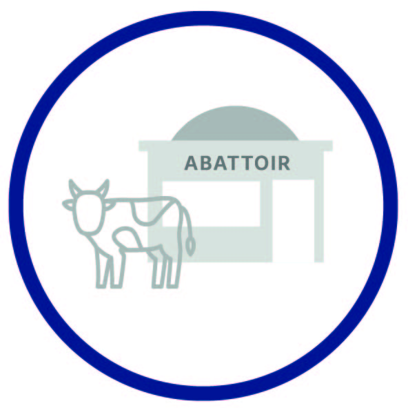 Technique_Abattoir.jpg